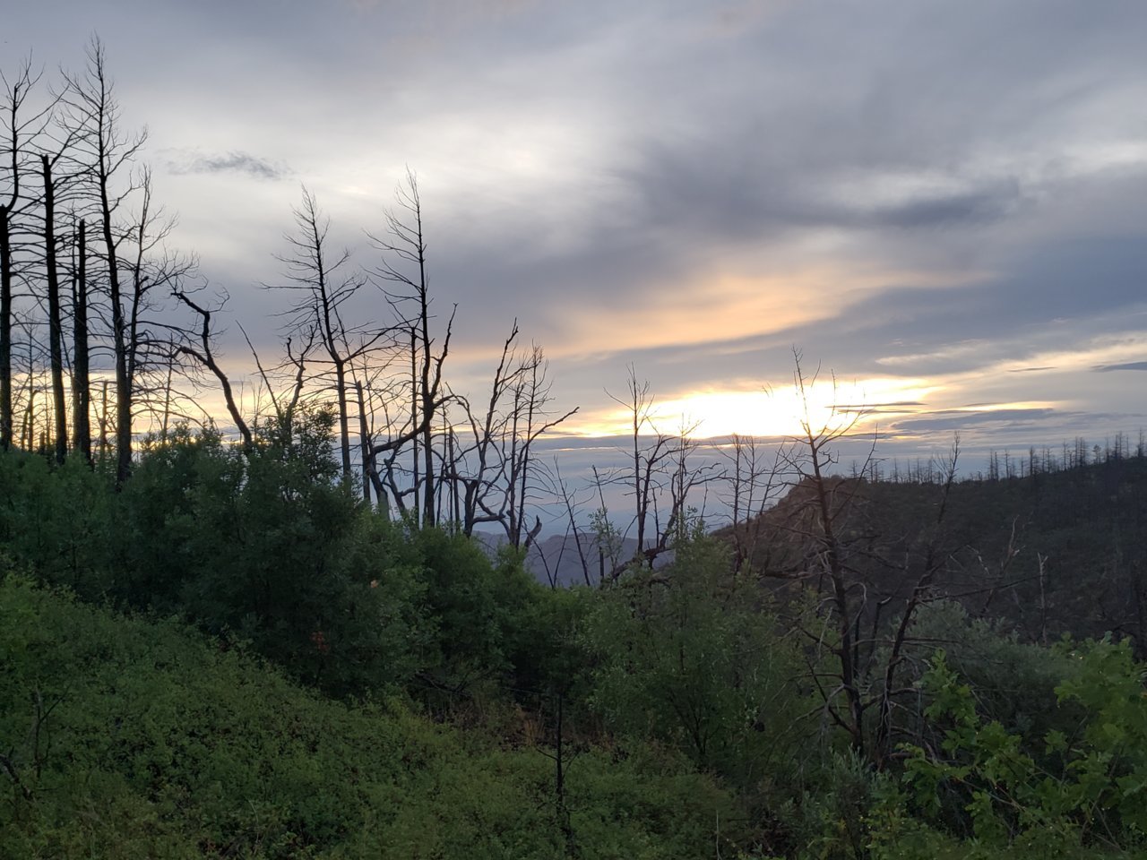 20180714_201904.jpg