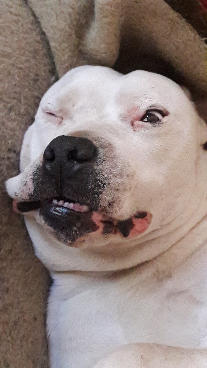 20180715_081840.jpg