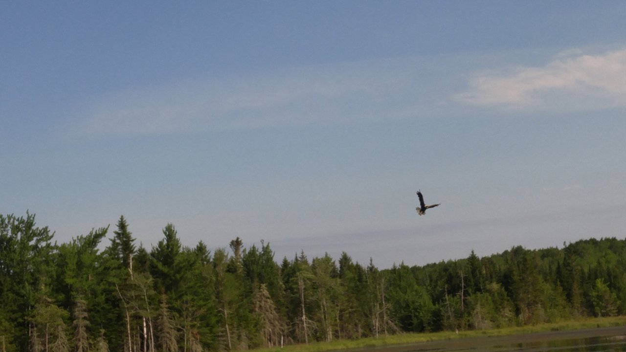 20180715_093805.jpg