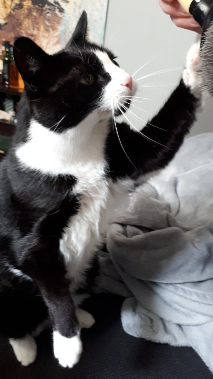 20180715_104144.jpg