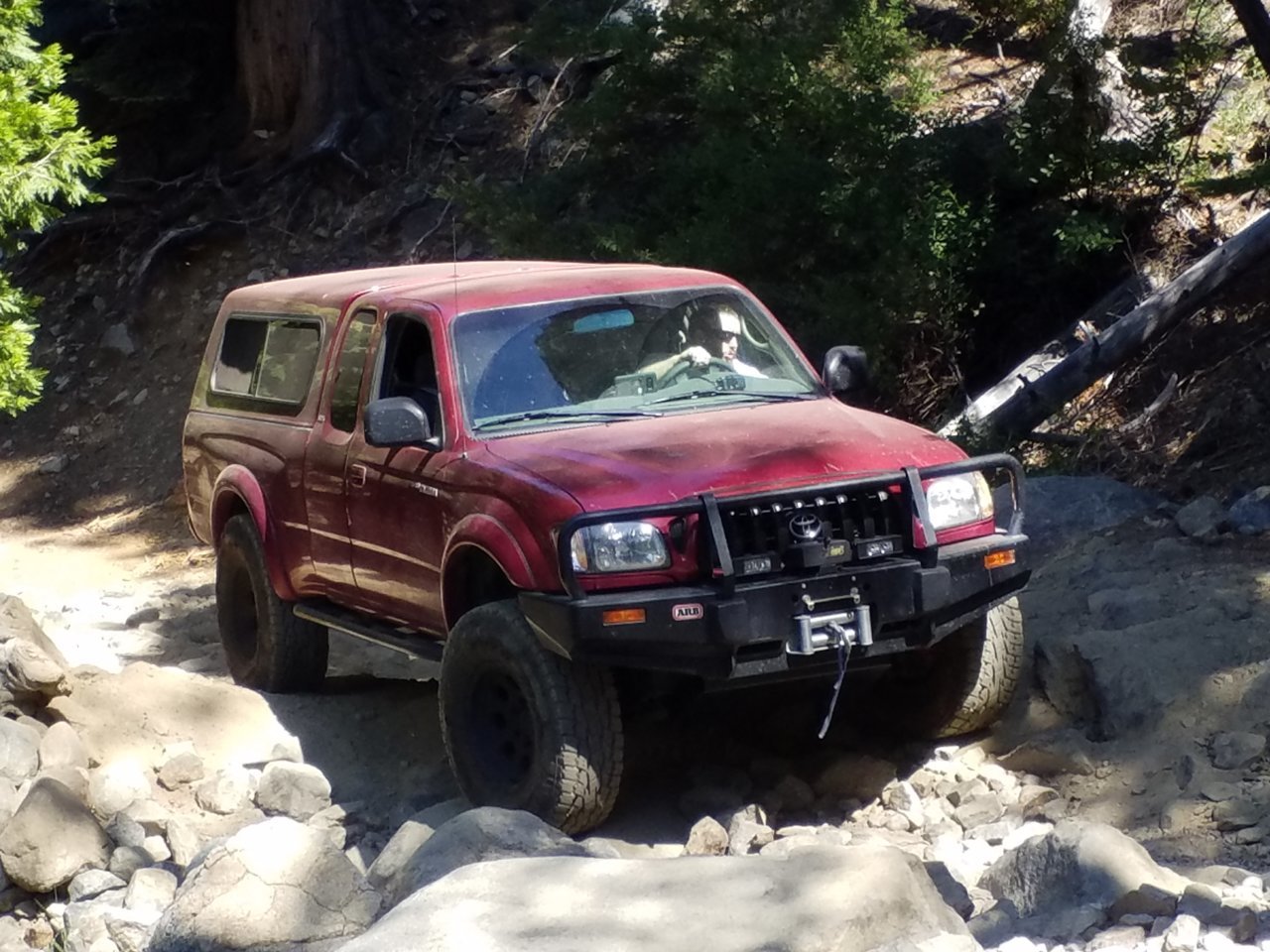 20180715_105411.jpg