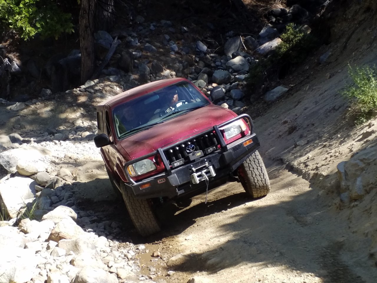 20180715_105428.jpg