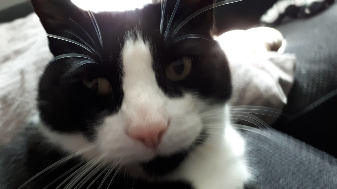 20180715_110930.jpg