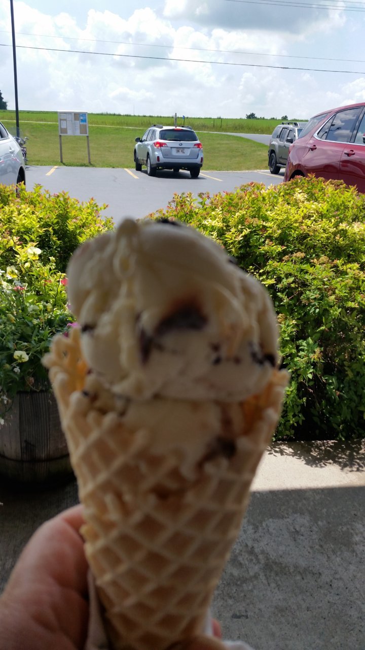 20180715_122923.jpg