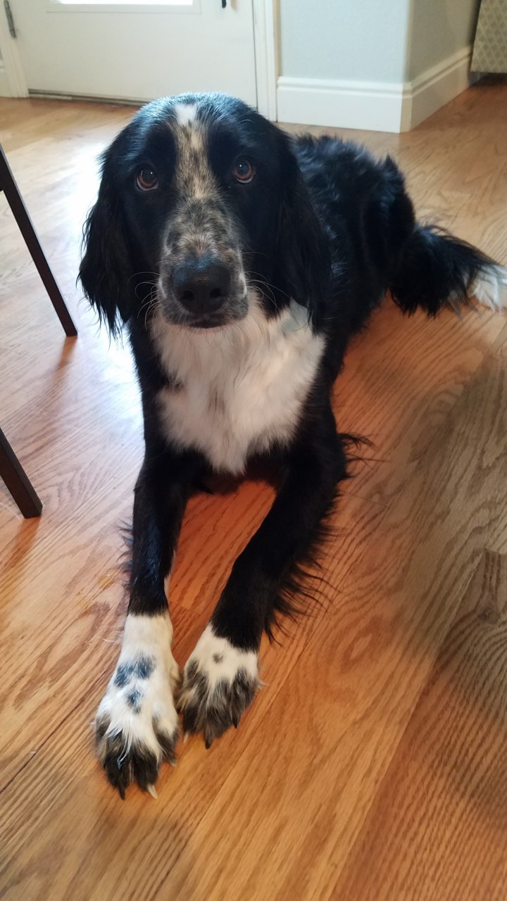 20180715_155301.jpg
