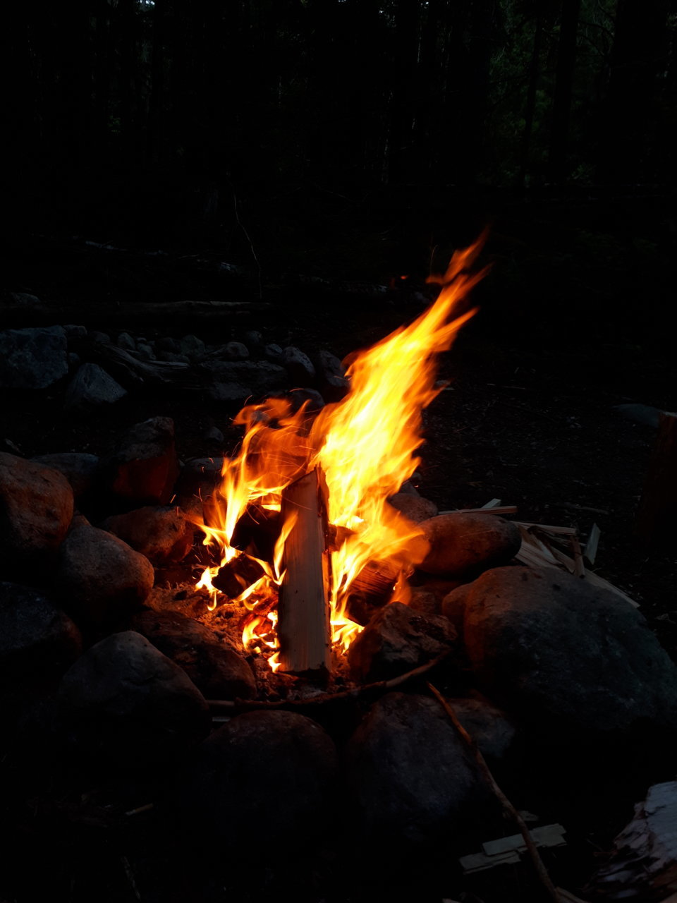 20180715_204440.jpg