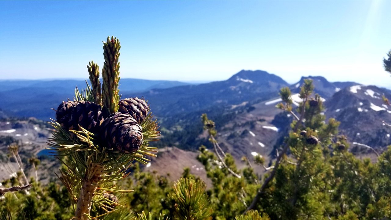20180716_032412.jpg