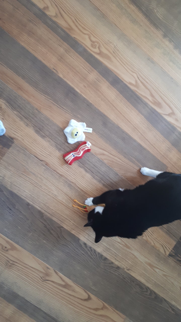 20180716_143410.jpg