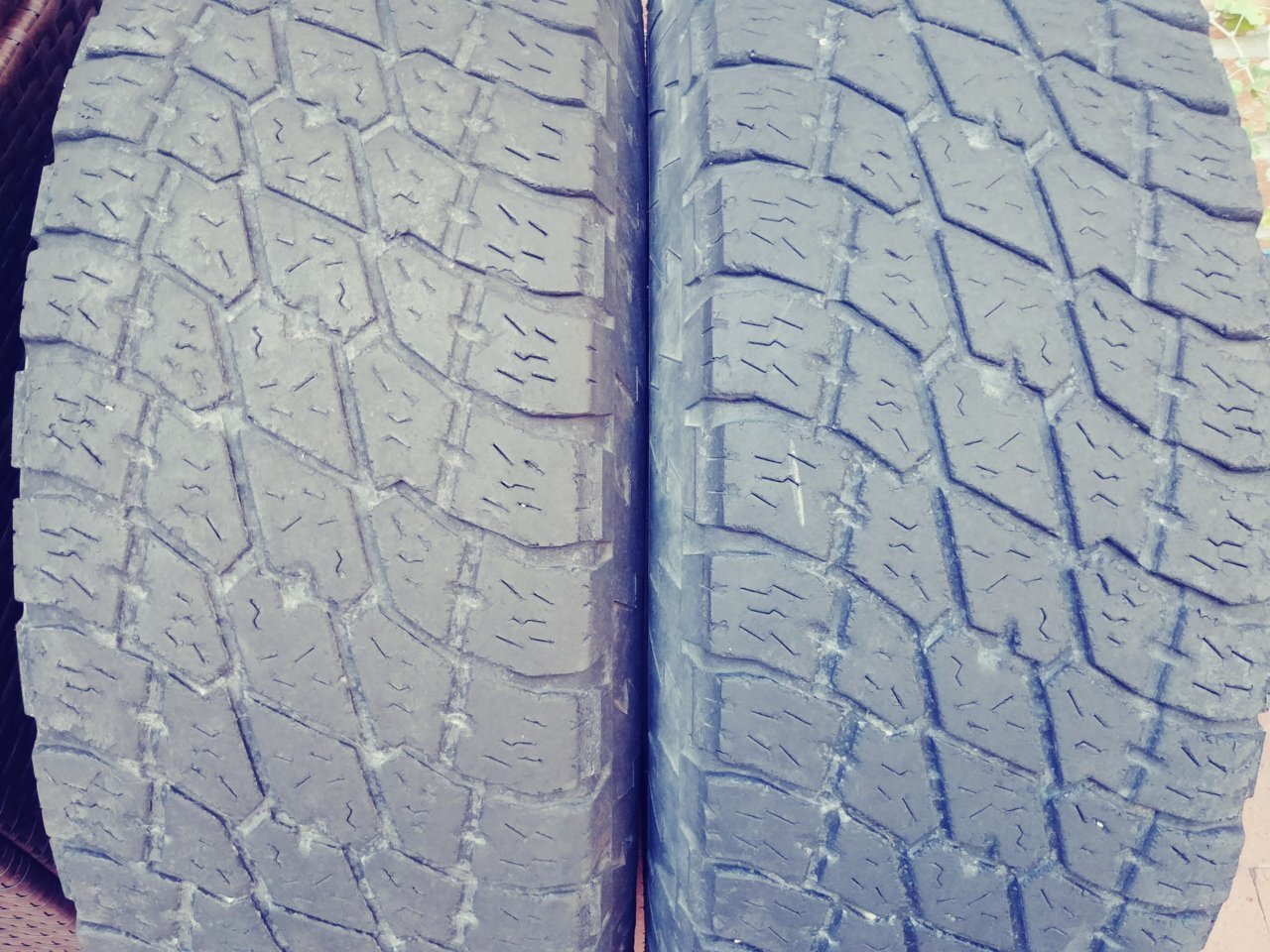 20180717_074134.jpg