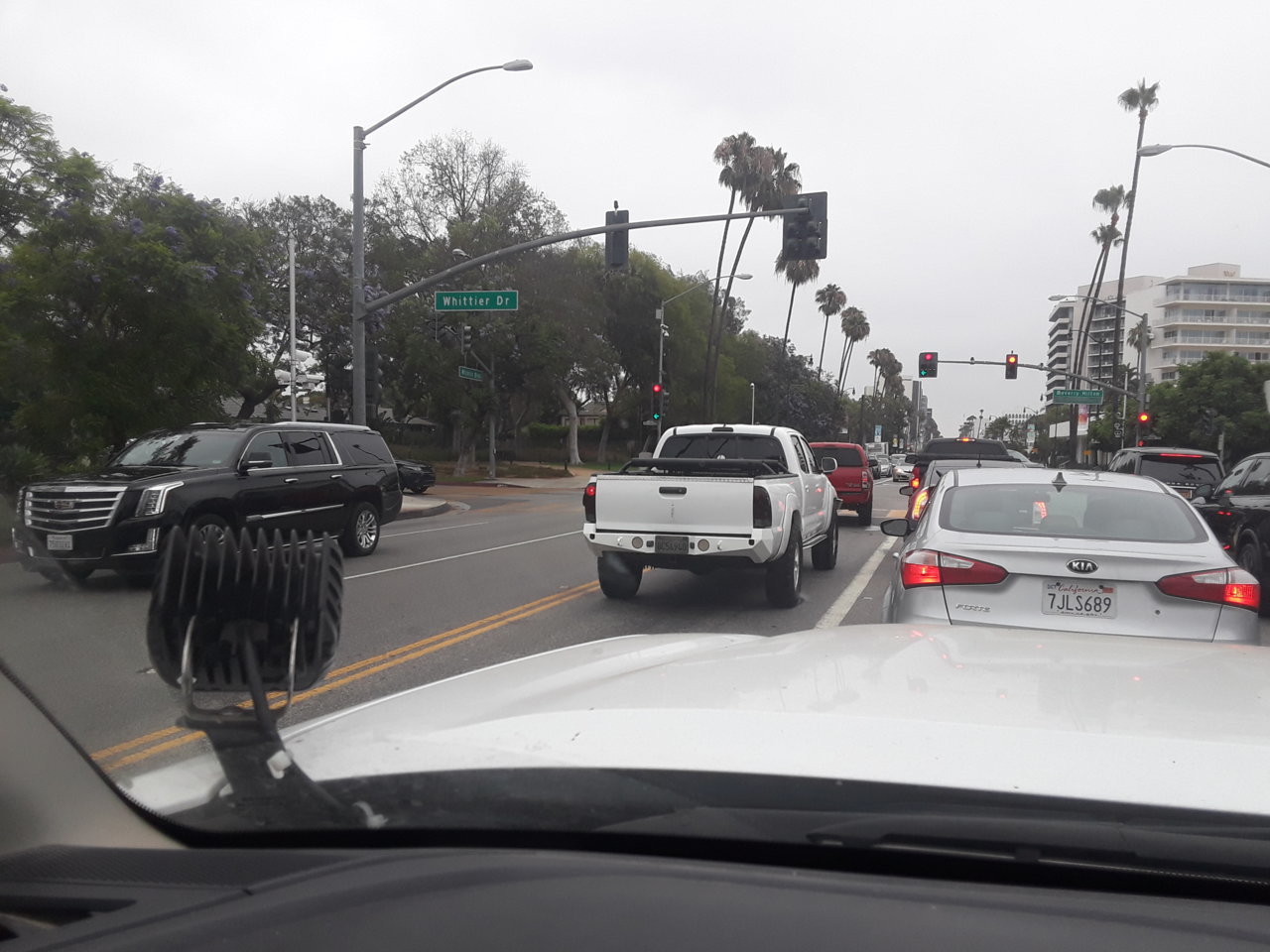 20180717_090049.jpg