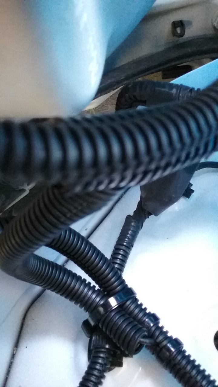 20180717_193146.jpg
