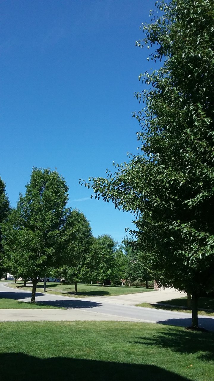 20180718_104831.jpg