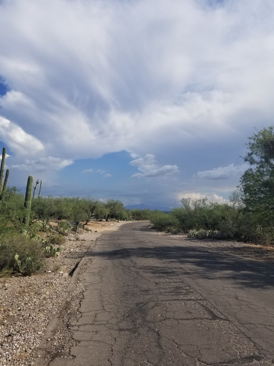 20180718_163711.jpg