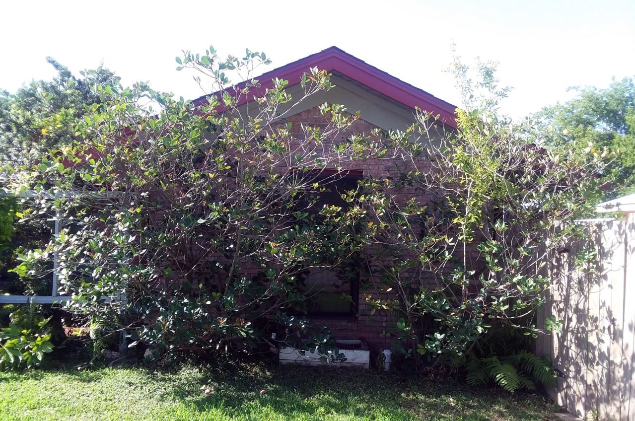 20180718_172523.jpg