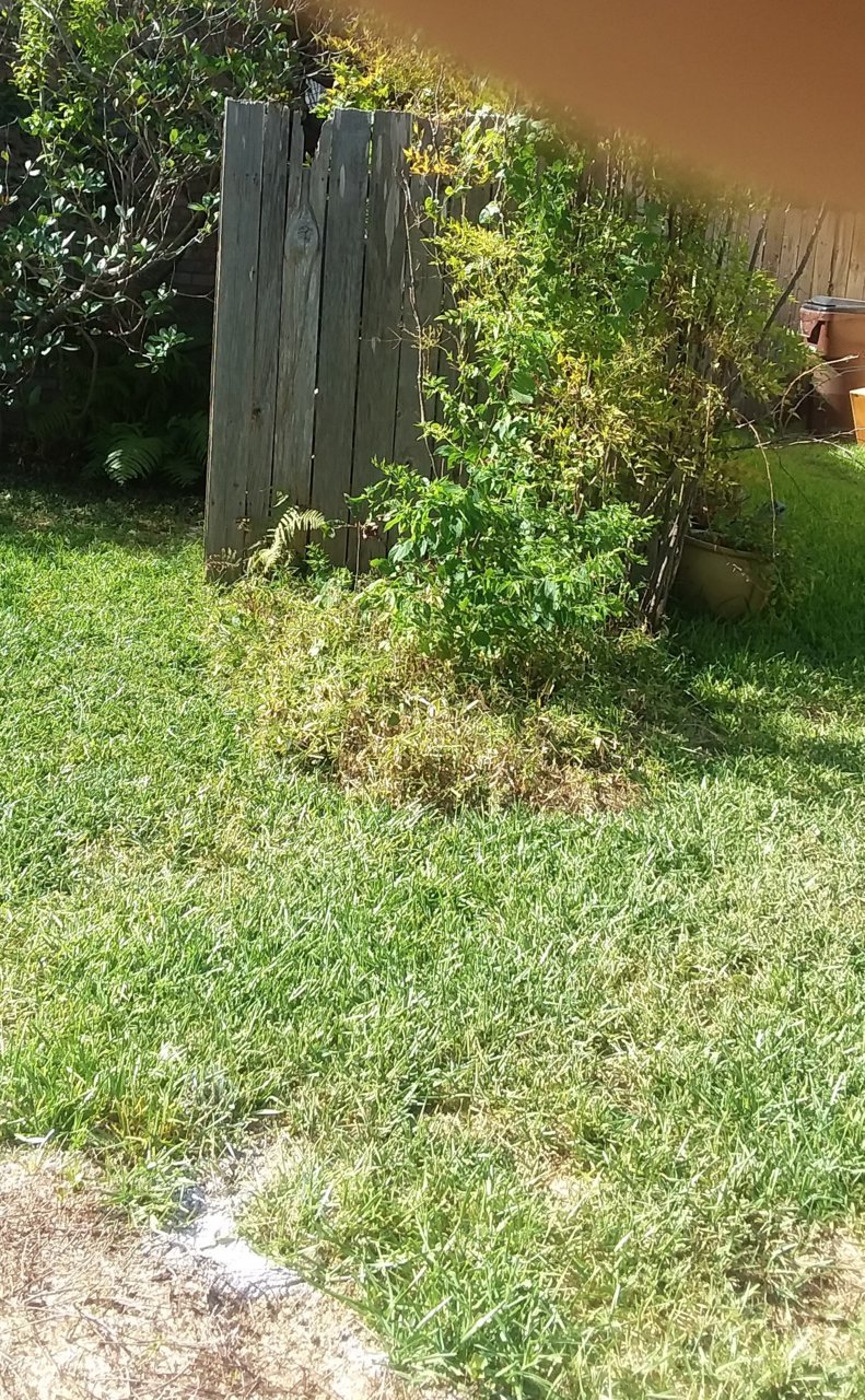 20180718_172536.jpg