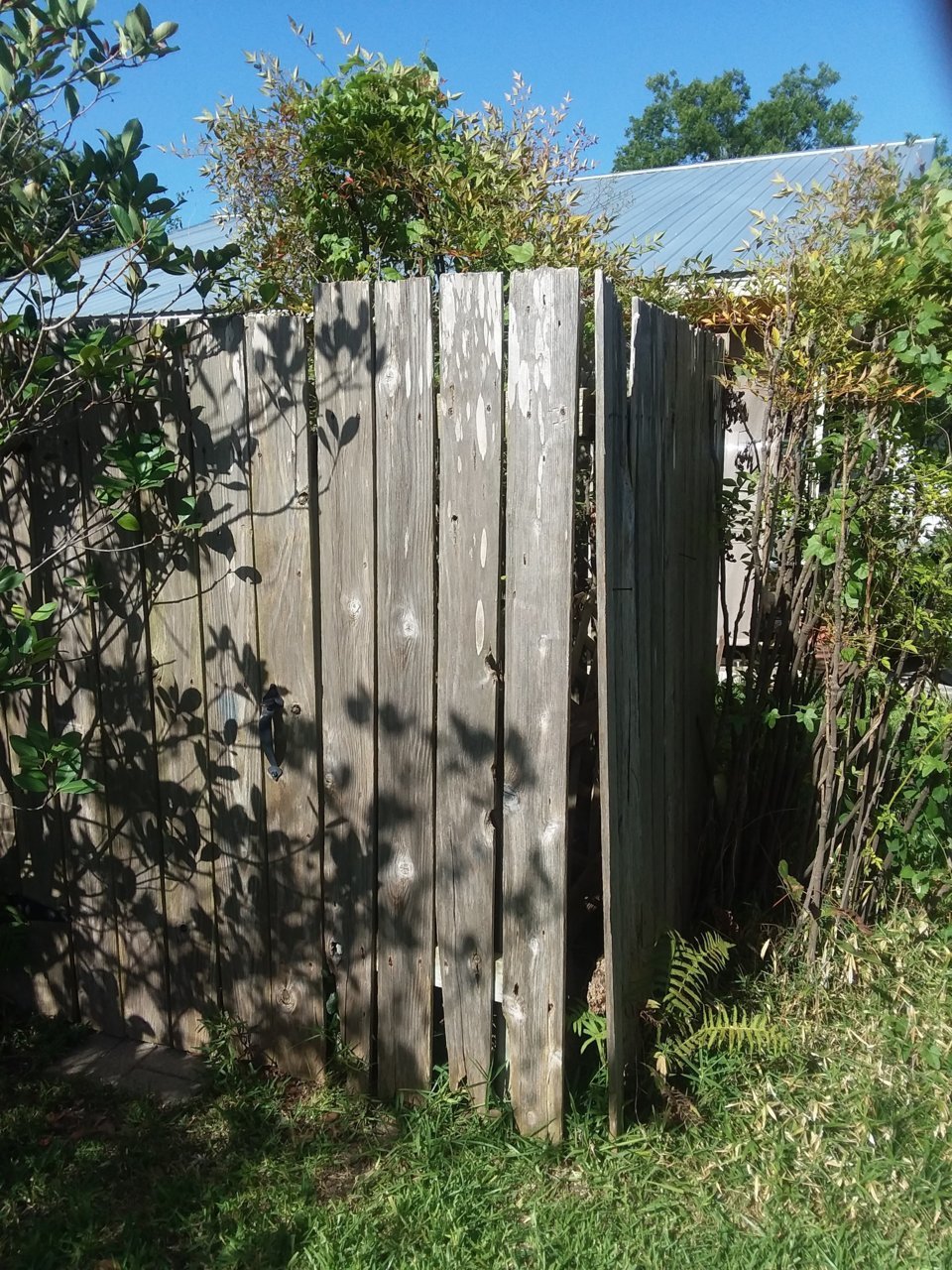 20180718_172551.jpg