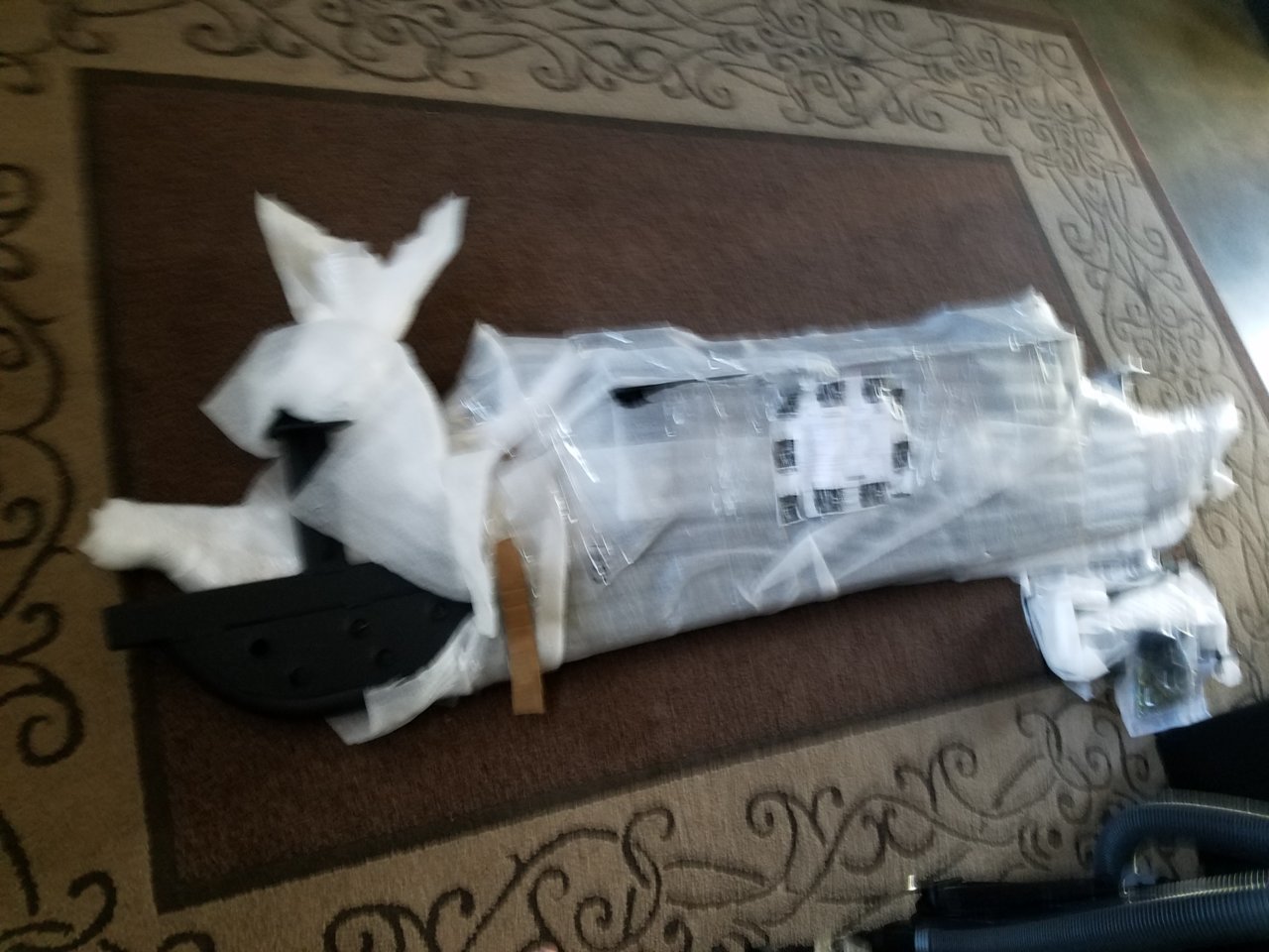 20180718_174205.jpg