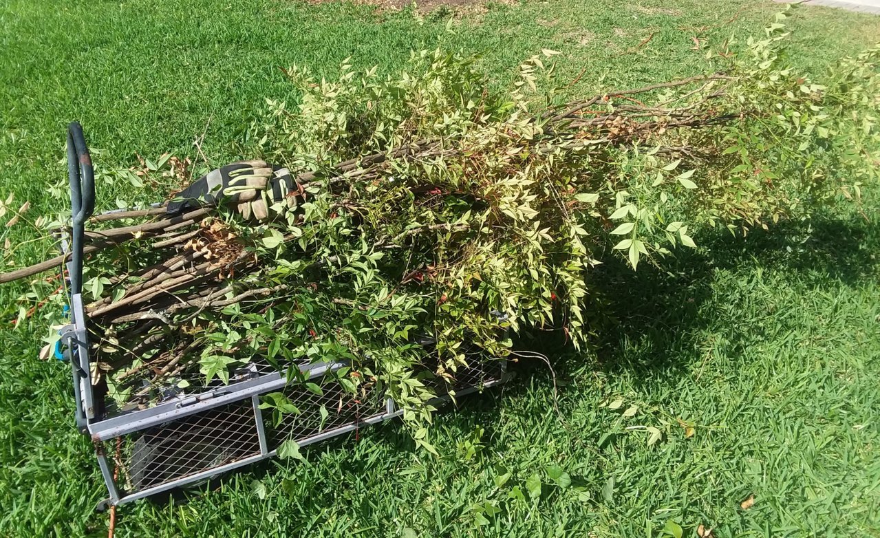 20180719_101228.jpg