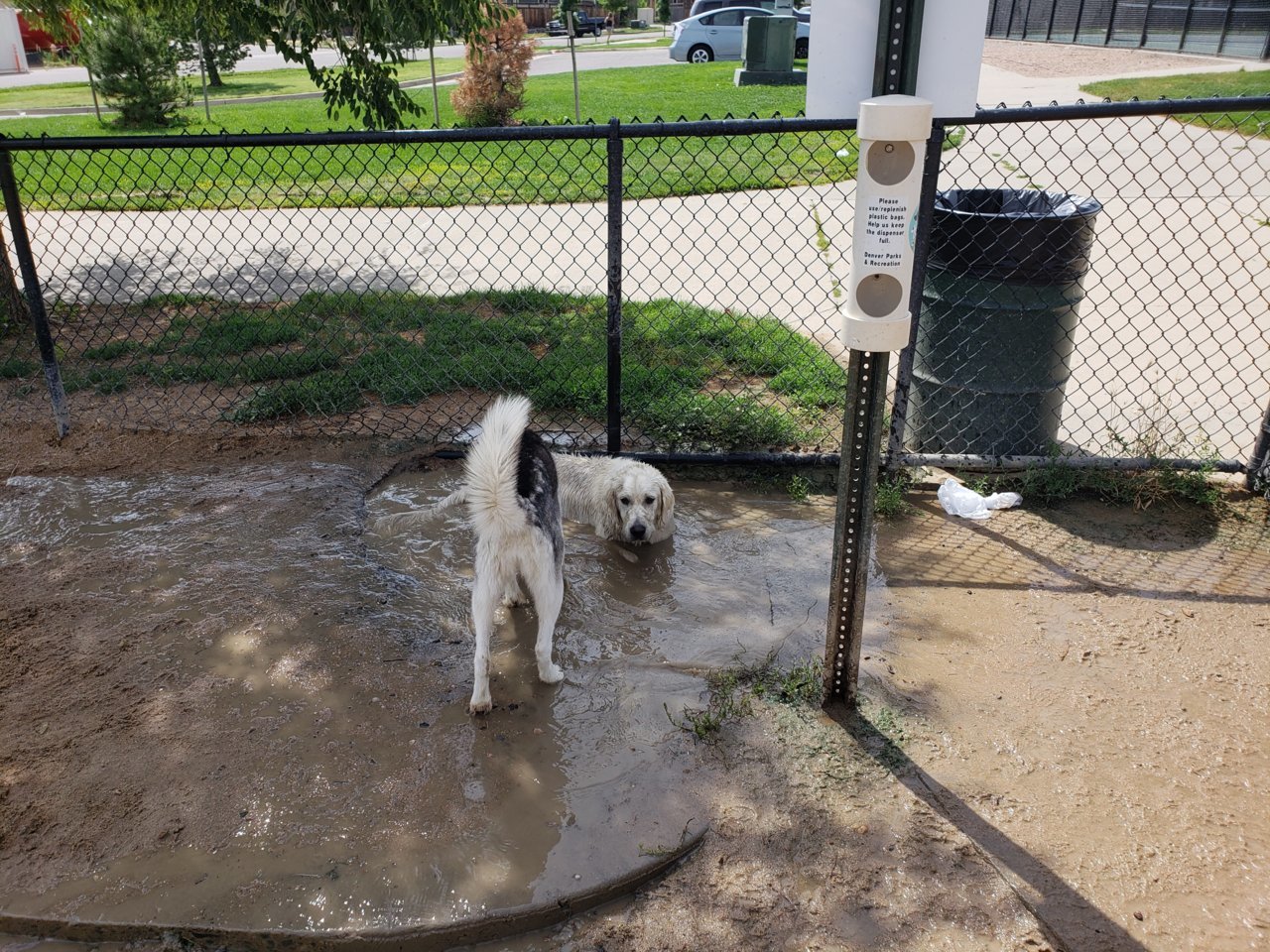 20180719_104525.jpg