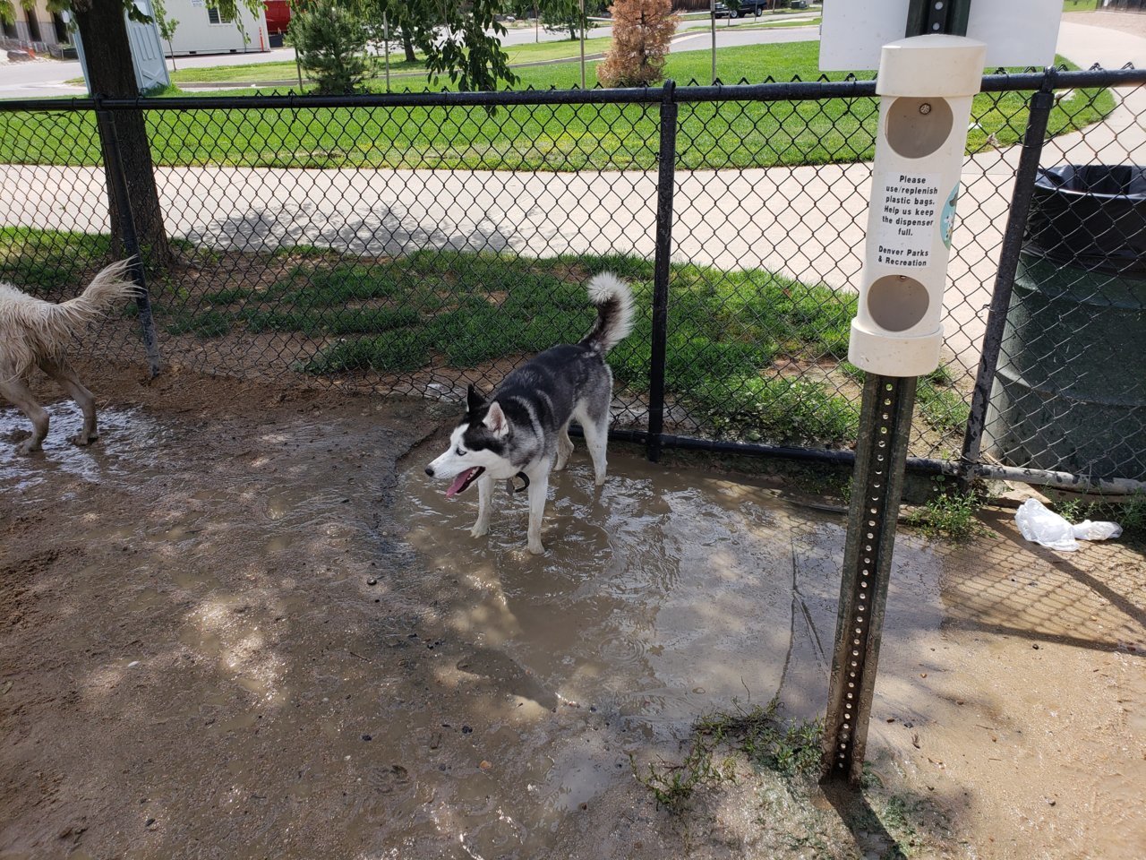 20180719_104604.jpg