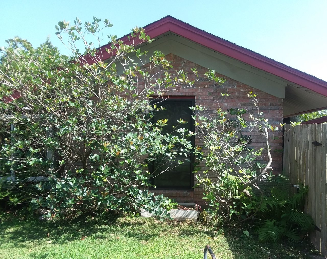 20180719_105840.jpg
