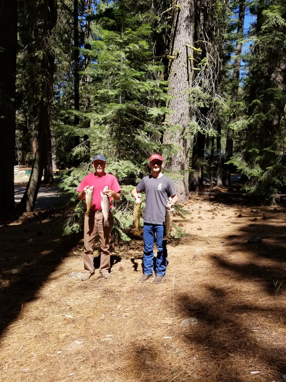20180719_110533.jpg