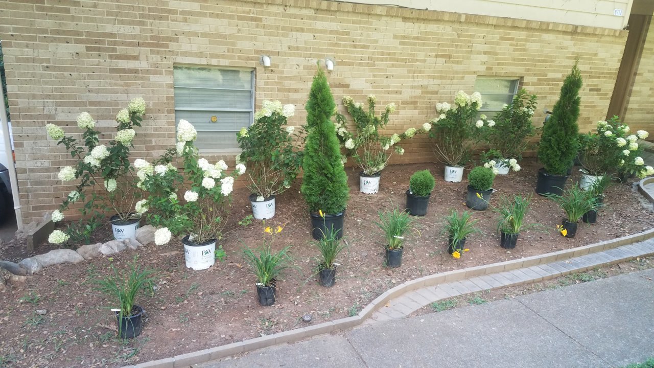 20180719_163005.jpg