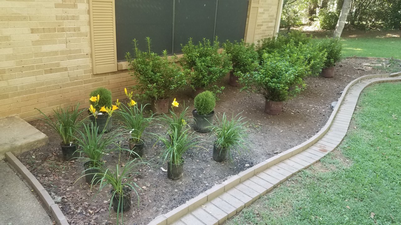 20180719_163103.jpg