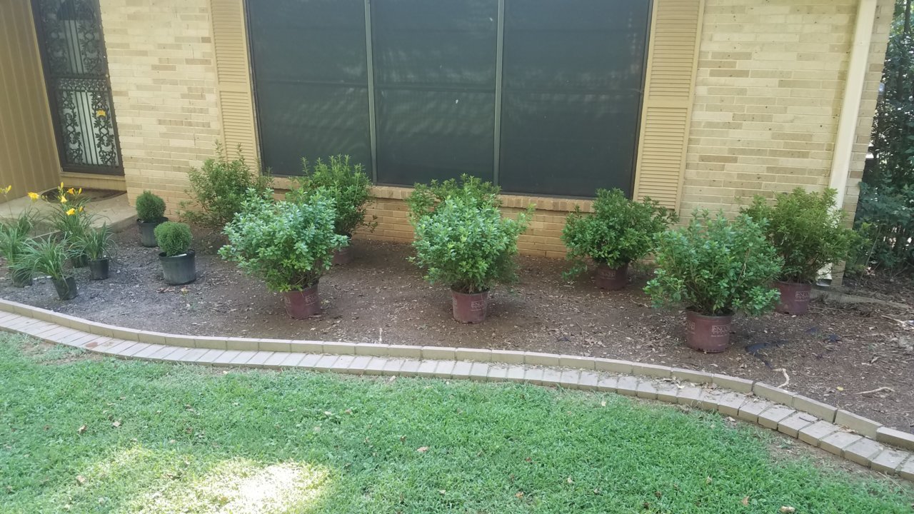 20180719_163111.jpg
