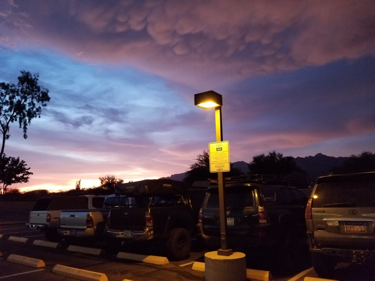 20180719_194904.jpg