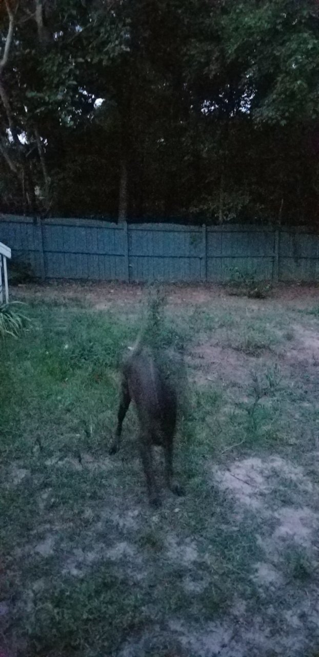 20180719_205232.jpg