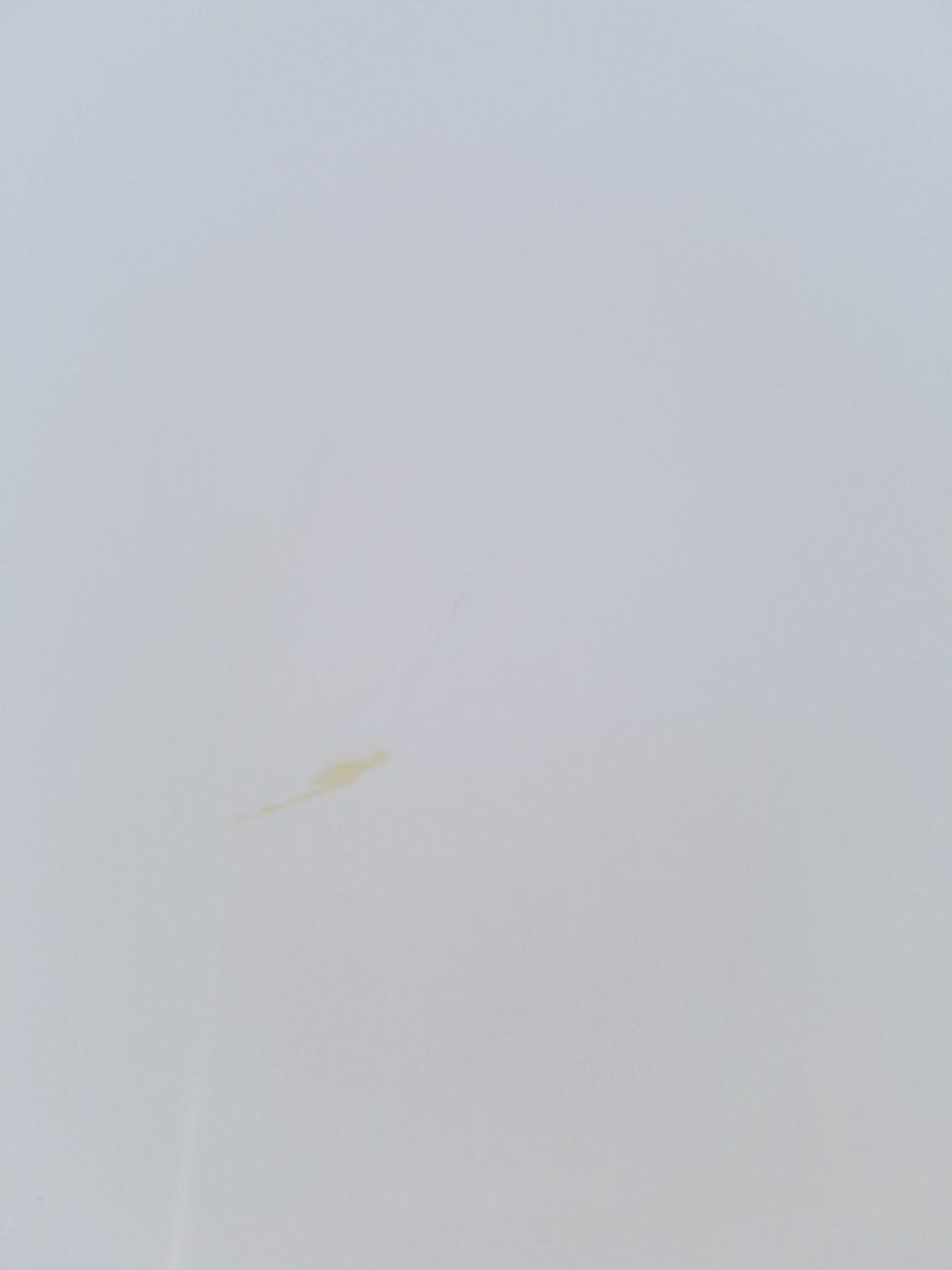 20180720_082249.jpg