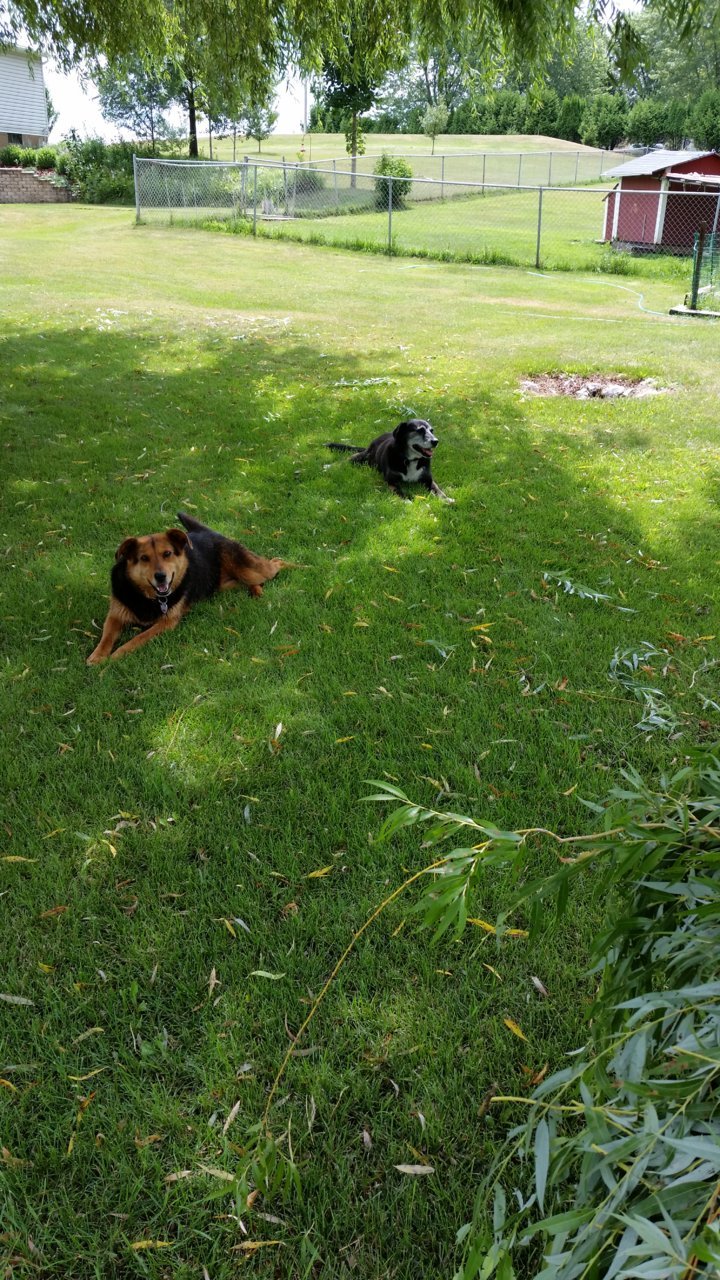 20180720_114107.jpg
