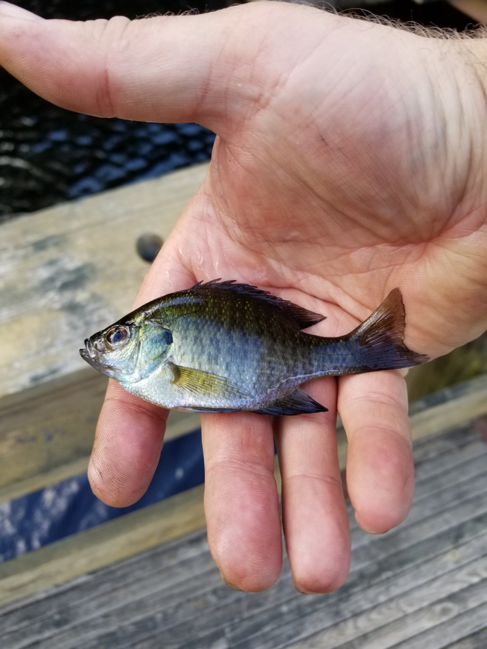 20180720_175611.jpg
