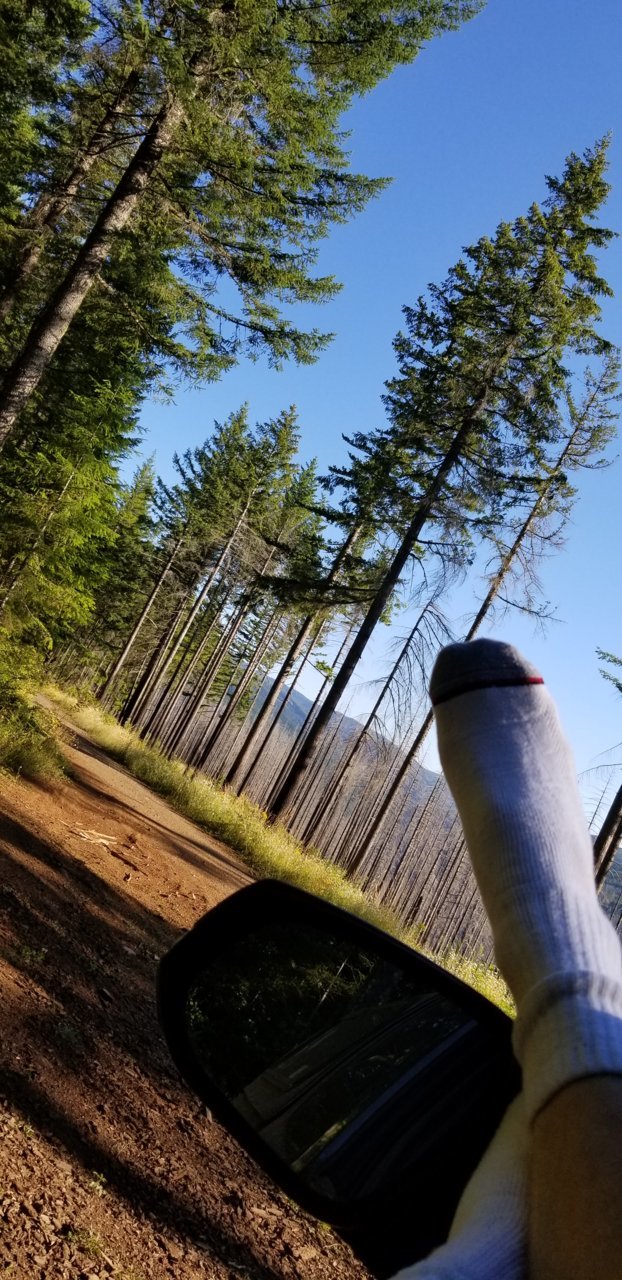 20180720_183558.jpg