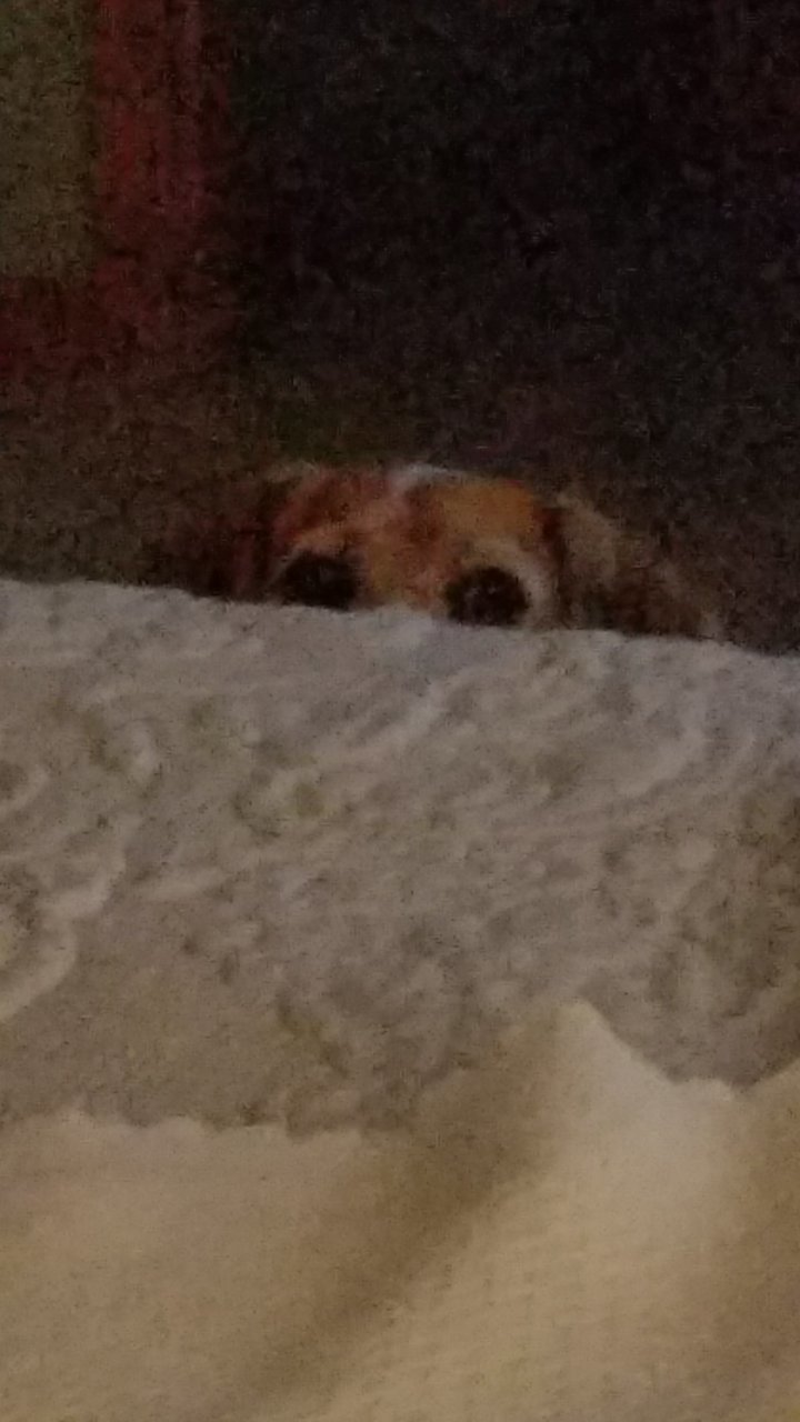 20180720_201245.jpg