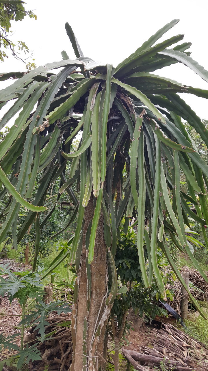 20180721_110119.jpg