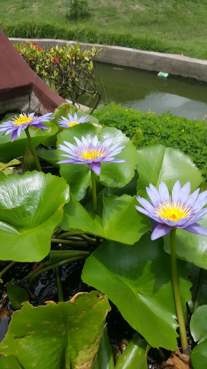 20180721_122059.jpg