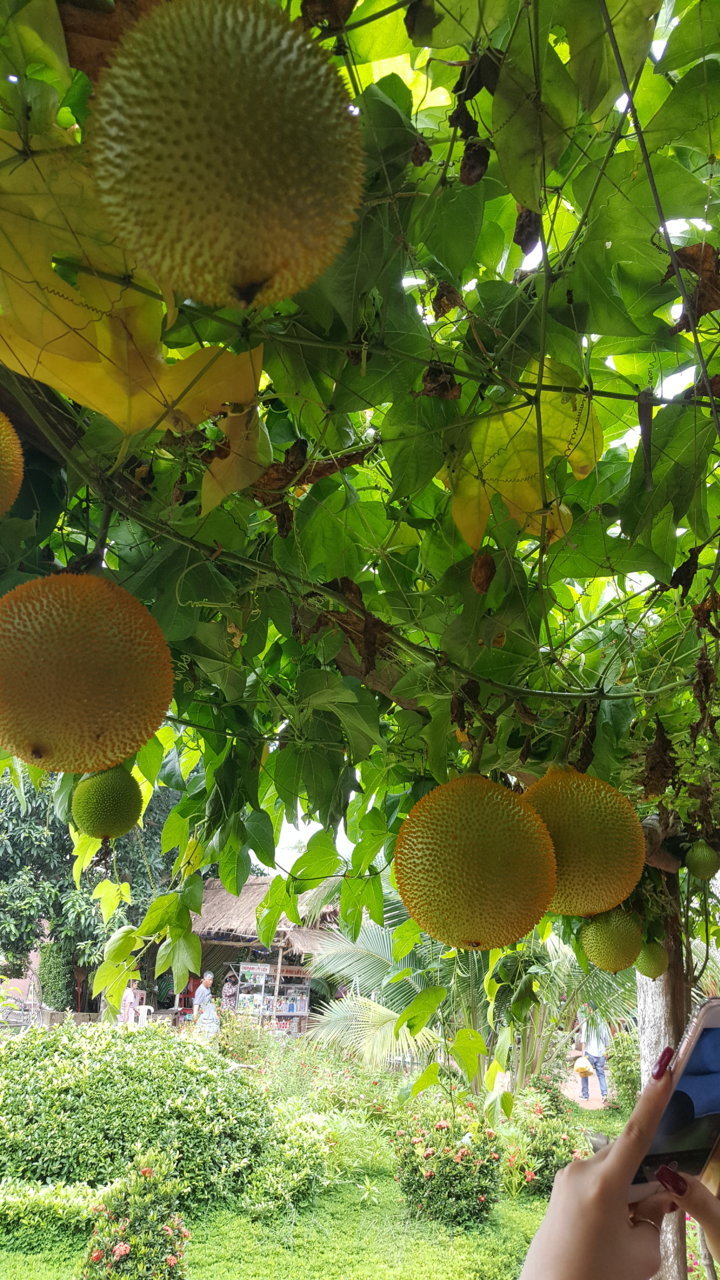 20180721_122400.jpg