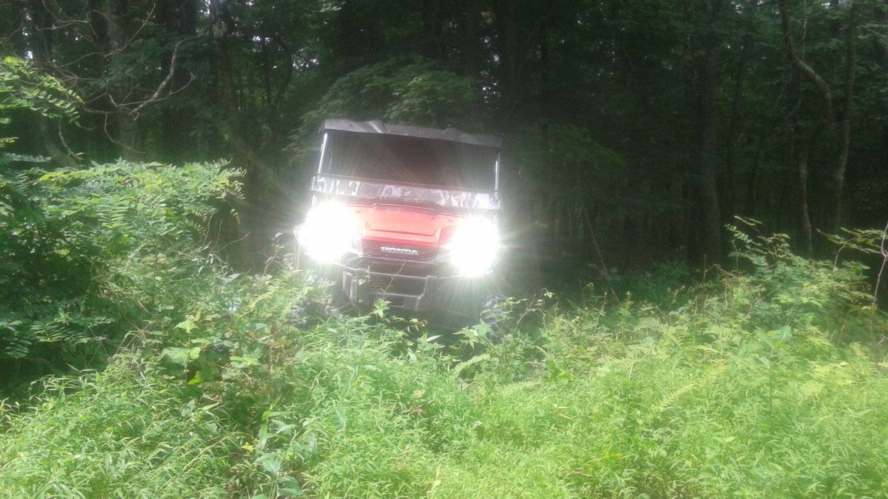 20180721_123208.jpg