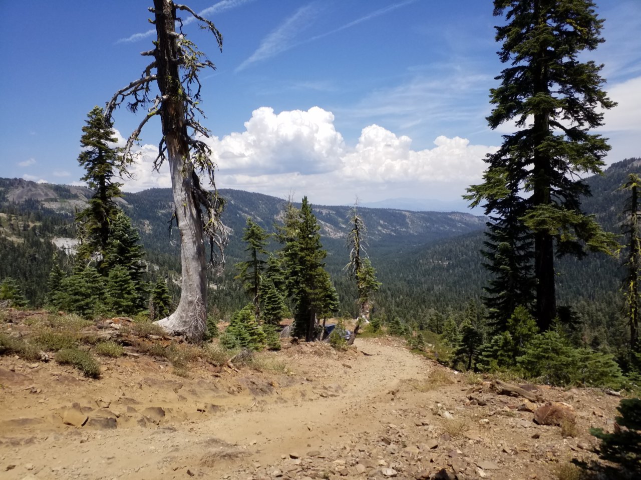 20180721_133326.jpg