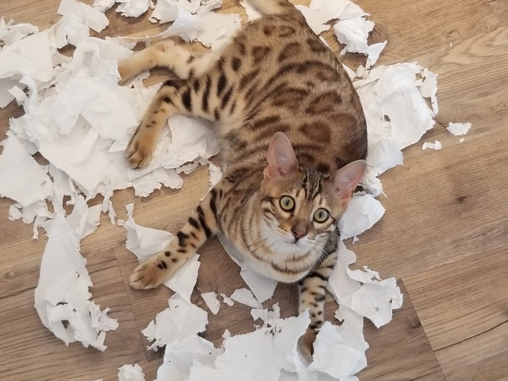 20180722_125911.jpg