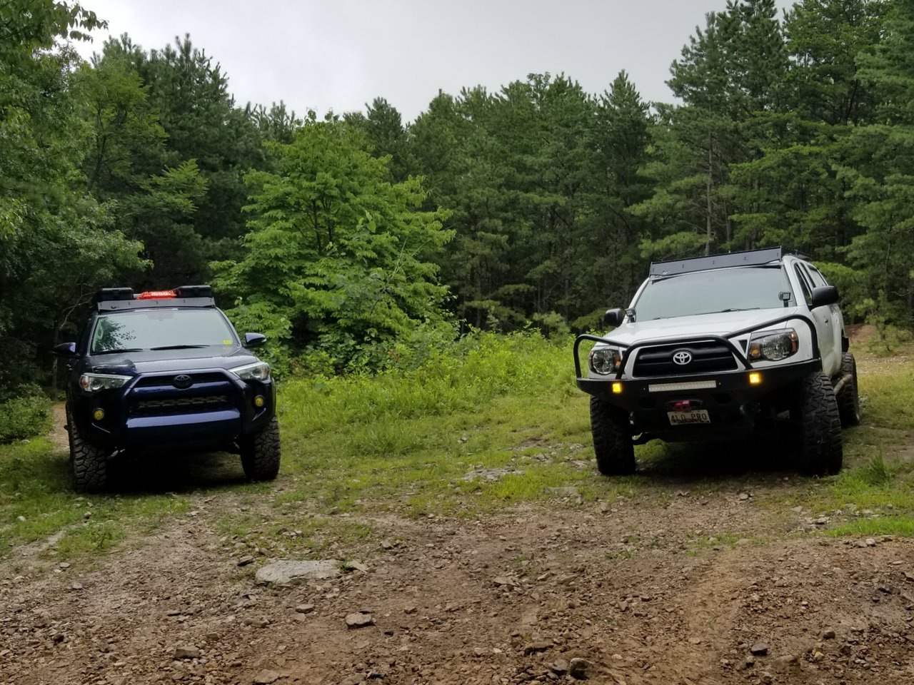 20180722_144154.jpg