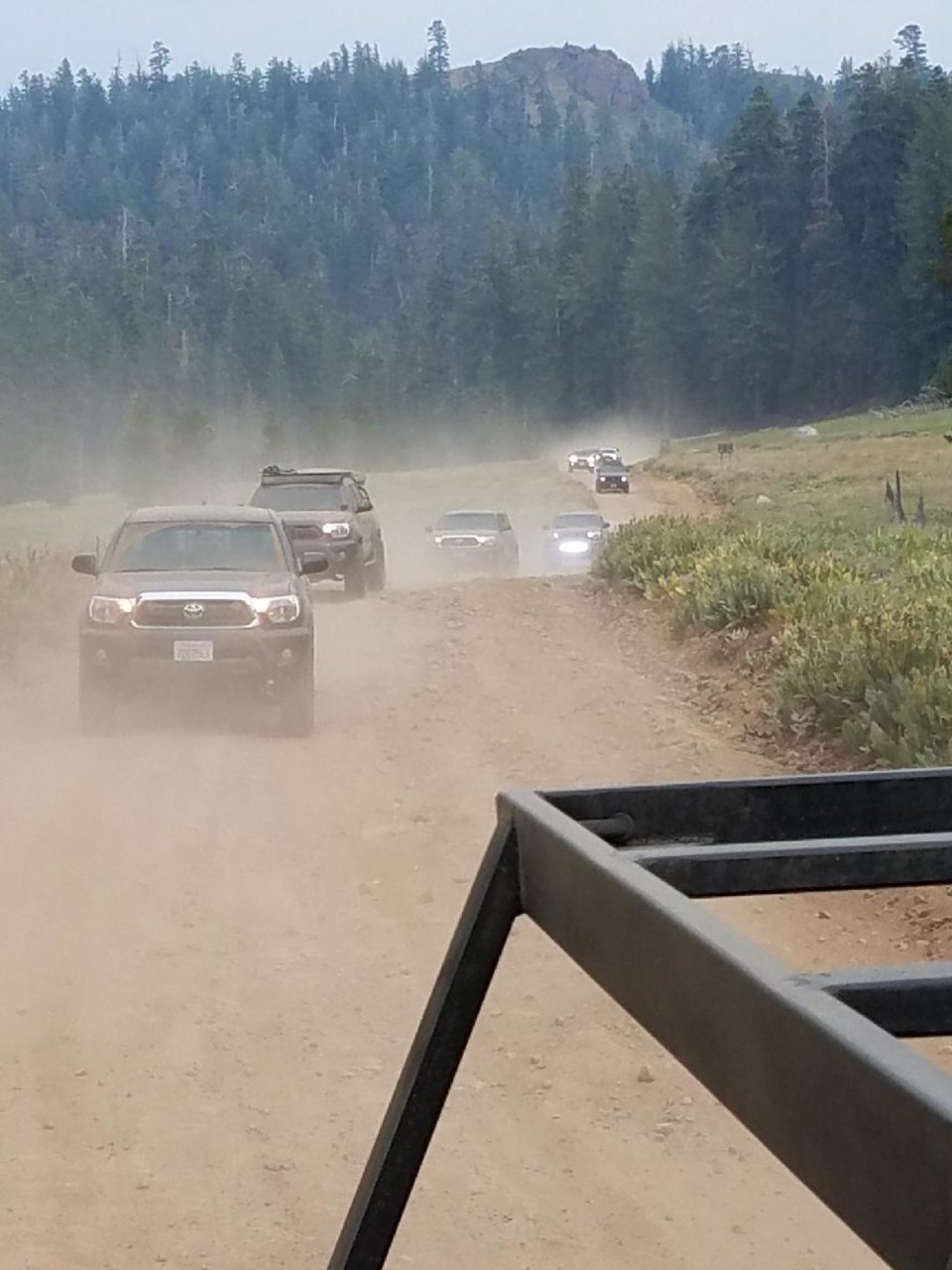 20180722_170520_1532313177588.jpg