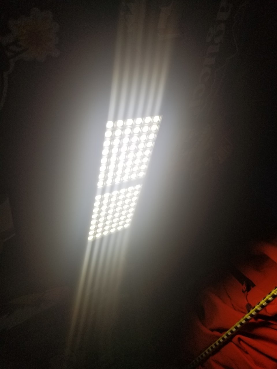20180723_085458.jpg