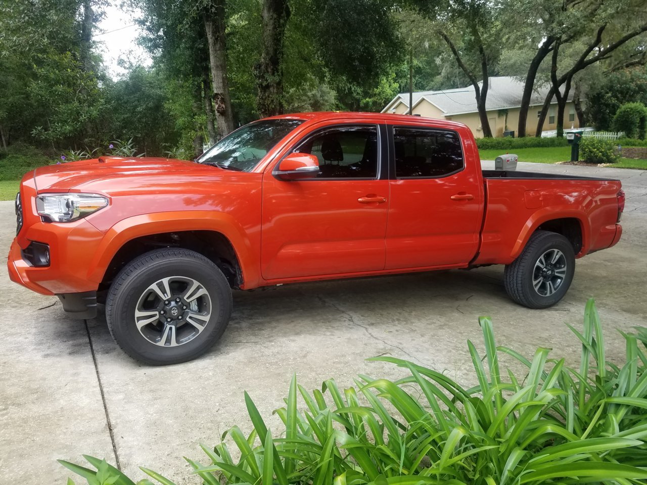 20180723_130206.jpg