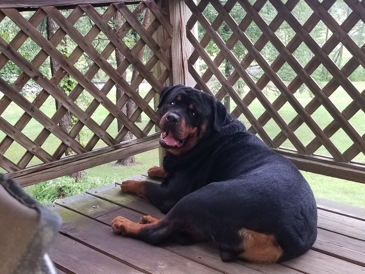 20180723_174237.jpg