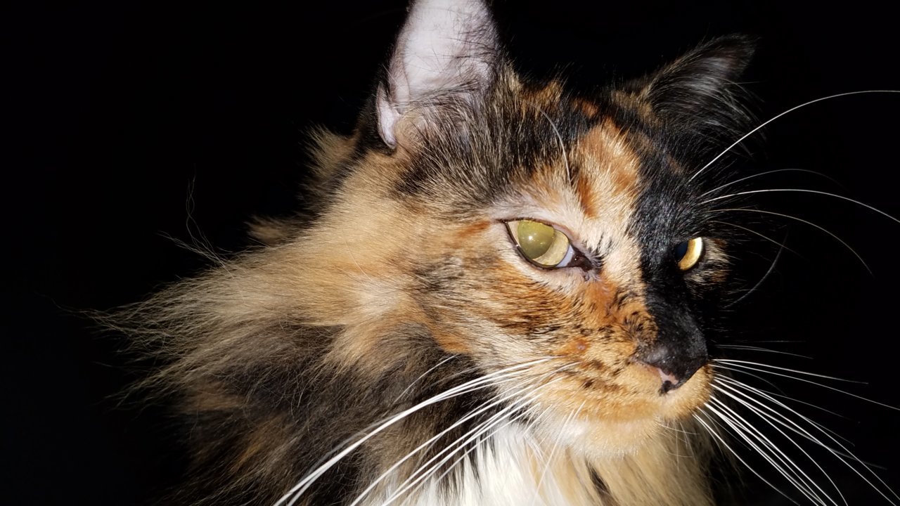 20180724_090338.jpg