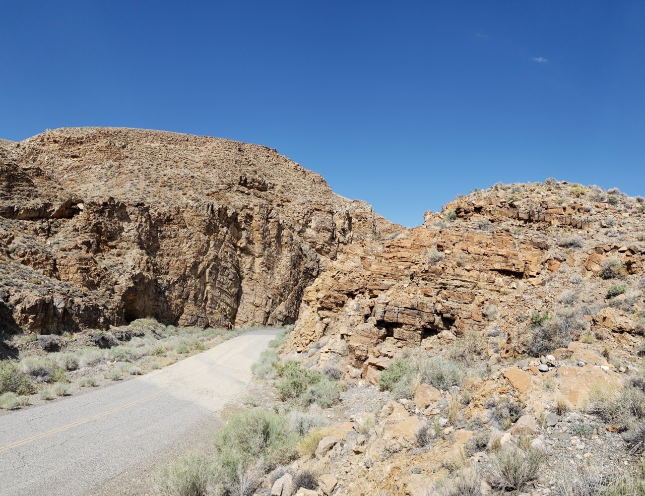 20180724_102635.jpg