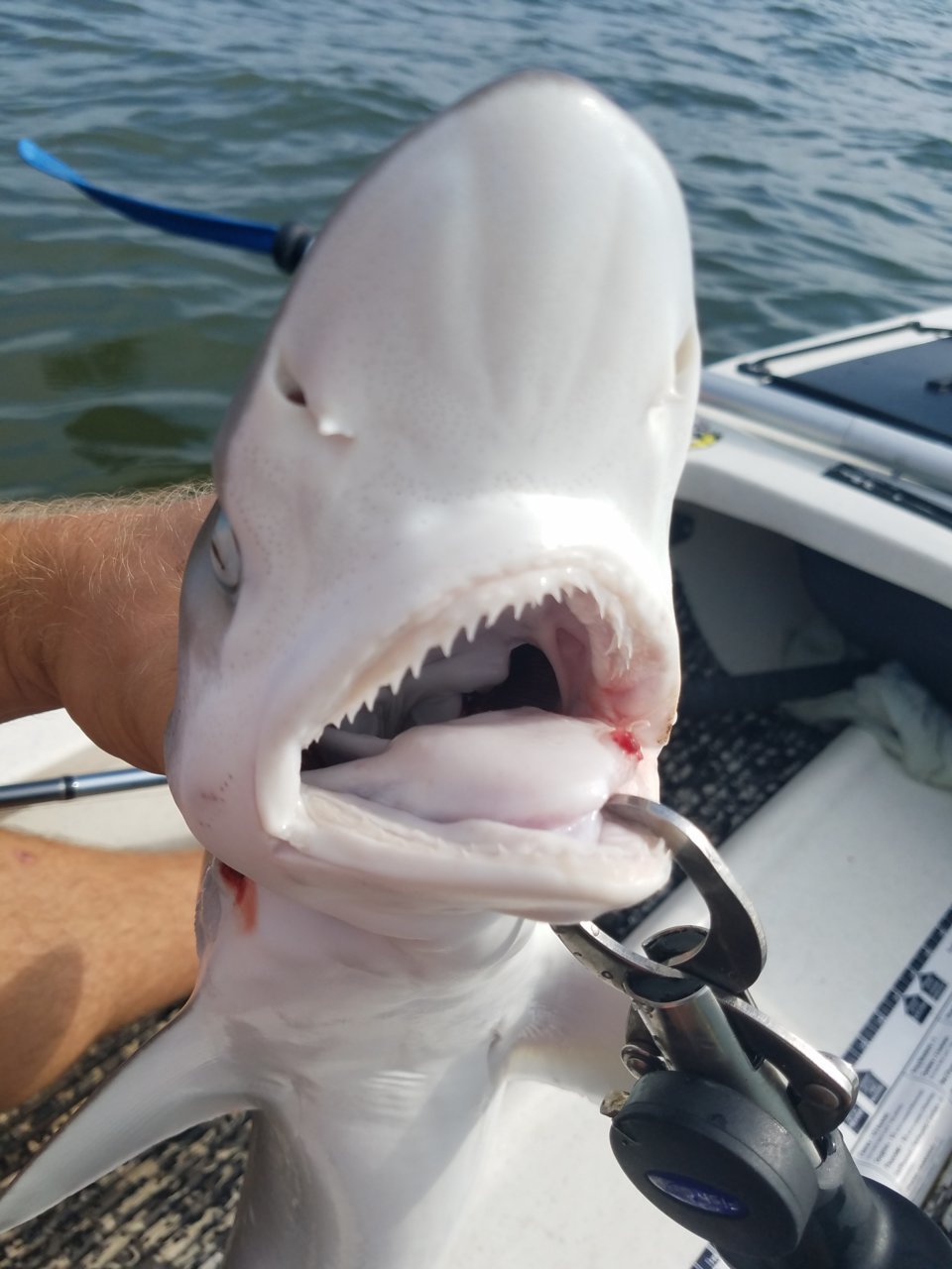 20180725_092028.jpg